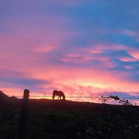 Hébergement de vacances Country Cosy Bailieborough