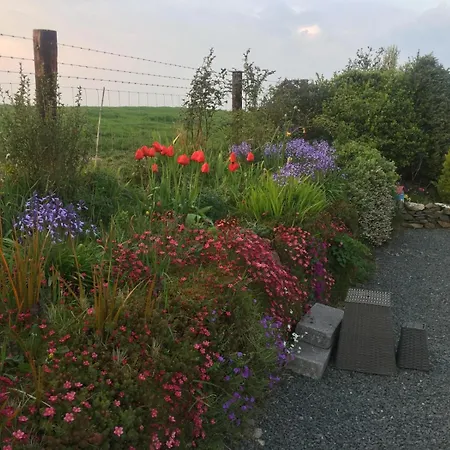 Country Cosy *