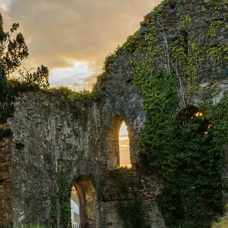 Country Cosy * Bailieborough