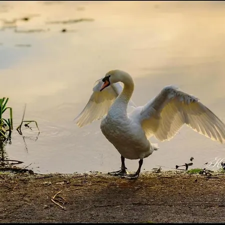 Country Cosy Bailieborough
