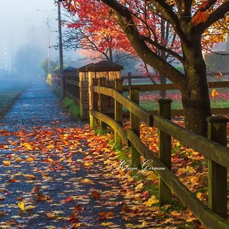 بيت للعطل Country Cosy