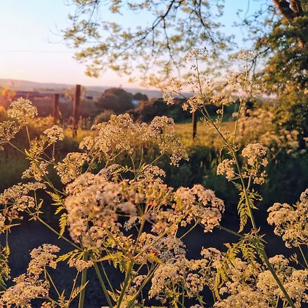 Hébergement de vacances Country Cosy *