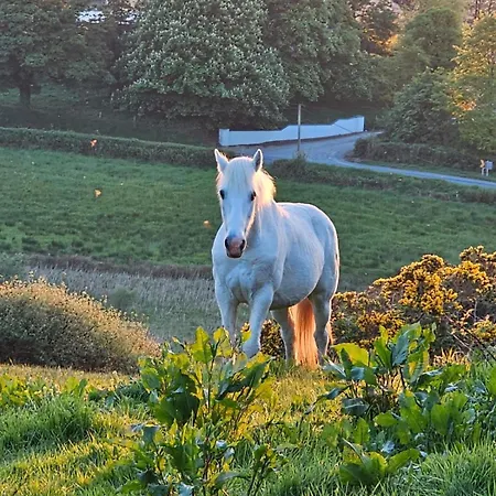 Hébergement de vacances Country Cosy
